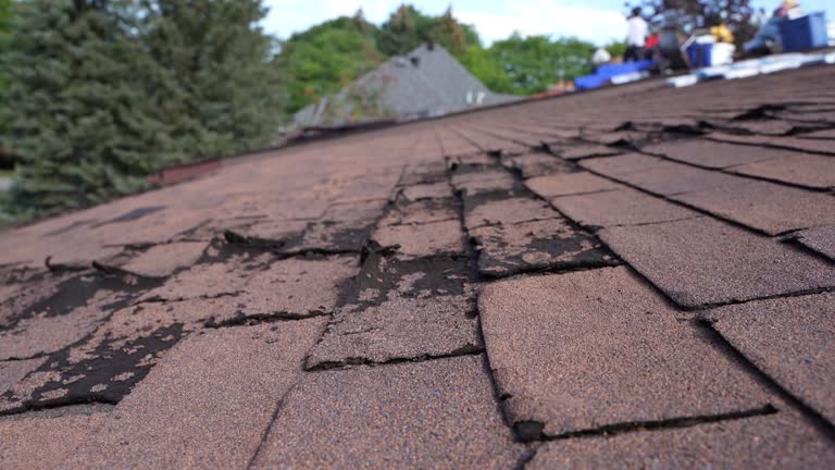 Best Asphalt Shingles Roofing  in Kittanning, PA
