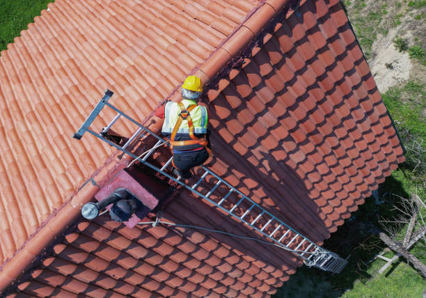 Best Skylight Installation and Repair  in Kittanning, PA